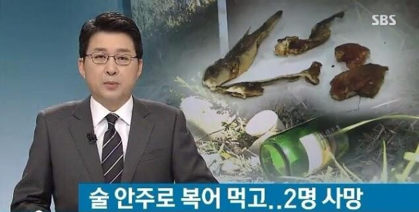 술 안주로 잘 못 선택한 것.