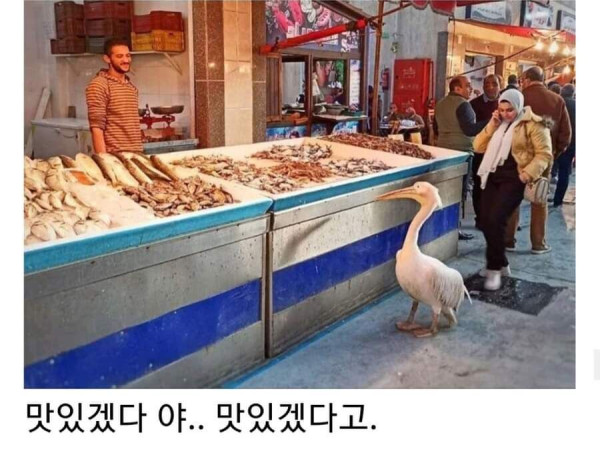 관광책자에서는 볼 수 없는 진짜 이집트의 모습들