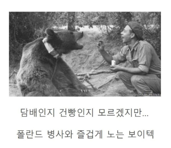 세계 최초 군인이었던 곰