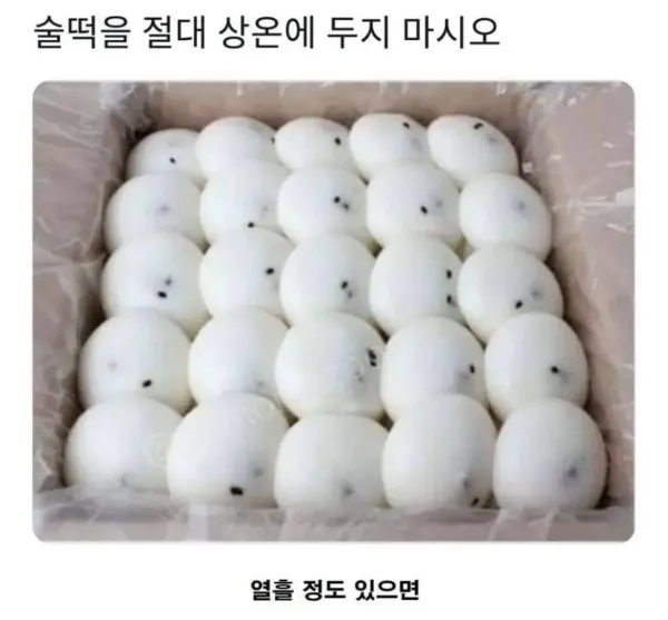 음식을 상온에 방치하면 안되는이유